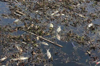 紡織印染無硅消泡劑到底有哪些優(yōu)點(diǎn)？如何去使用？