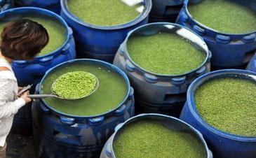 洗潔精消泡劑的使用案例