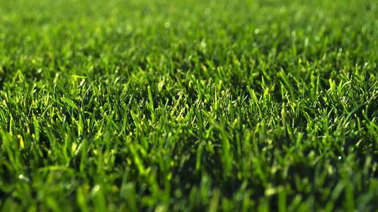 對于品質(zhì)的執(zhí)著連聚乙烯醇消泡劑都有，那你呢？