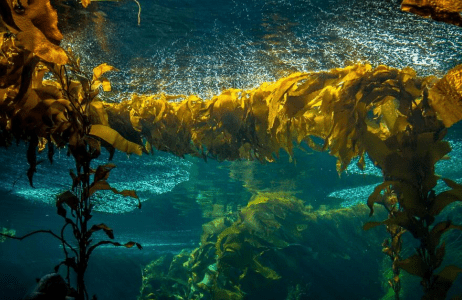 重磅！打擊水處理泡沫用無硅水處理消泡劑