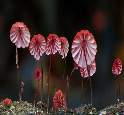 生化水處理消泡劑閃亮登場(chǎng)