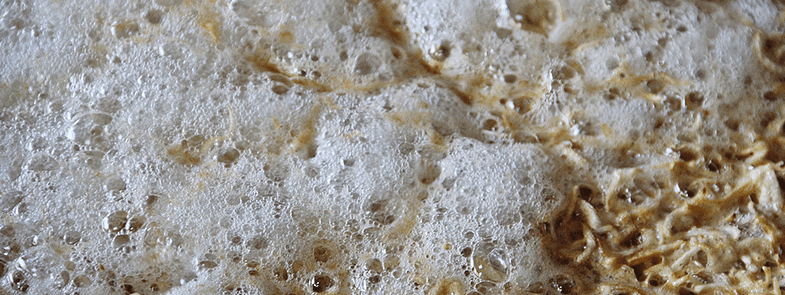 食品發(fā)酵消泡劑 食品發(fā)酵消泡劑